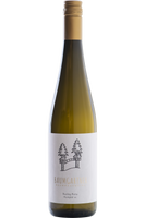 Riesling Romy<p> Kamptal DAC<p> 2023