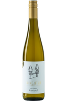 Riesling Romy<p> Kamptal DAC<p> 2024