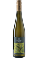 Grüner Veltliner Gobelsburg<p> Kamptal DAC<p> 2023