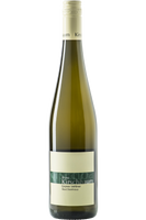 Grüner Veltliner Ried Steinhaus<p> Kamptal DAC<p> 2023