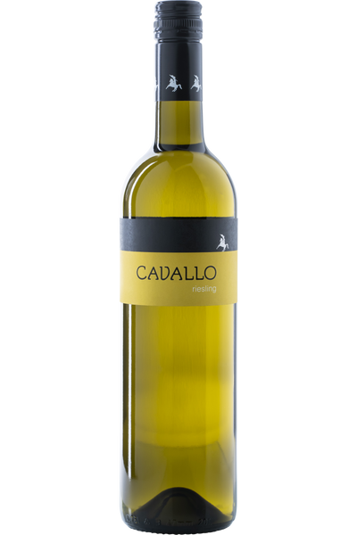 Riesling Cavallo<p> Kamptal DAC<p> 2023