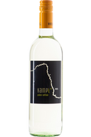 Grüner Veltliner Kampl<p> Kamptal DAC<p> 2023